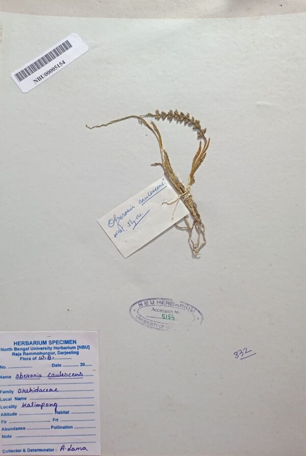 DocScanner 7 Apr 2026 5-18 pm